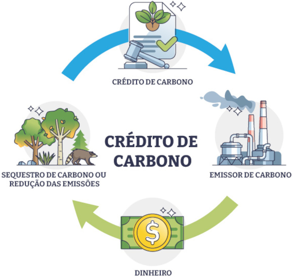 Diagrama sobre funcionamento do crédito de carbono.
